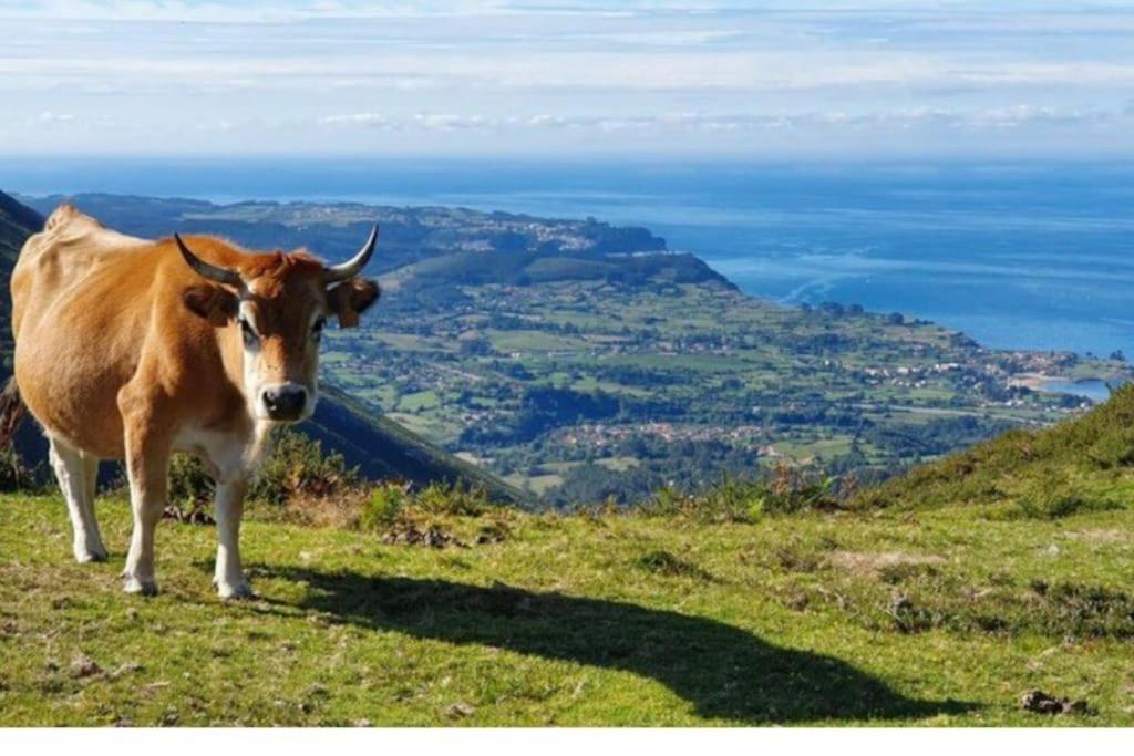 Casa Todah, Playas Y Montanas Duesos 外观 照片
